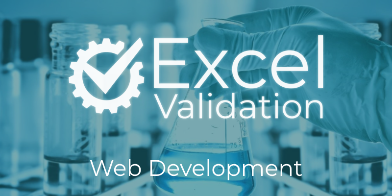 Excel Validation Services